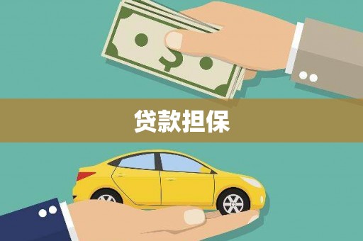 西海岸贷款担保