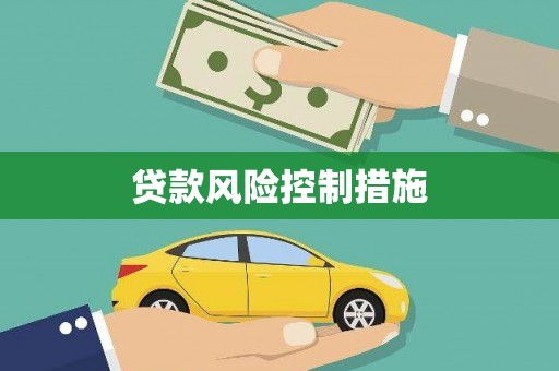 西海岸贷款风险控制措施