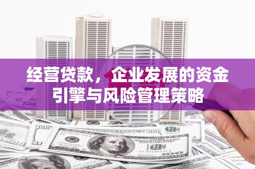 西海岸经营贷款，企业发展的资金引擎与风险管理策略