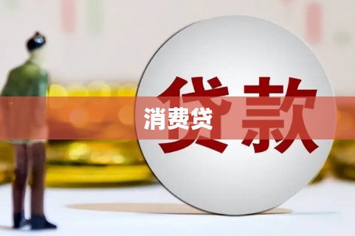 西海岸消费贷