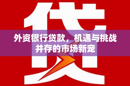 西海岸外资银行贷款，机遇与挑战并存的市场新宠