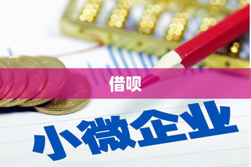 西海岸借呗