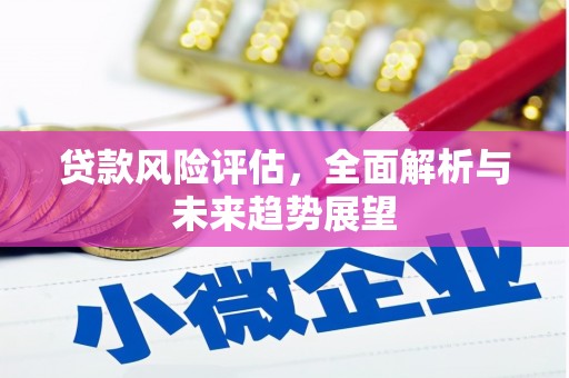 西海岸贷款风险评估，全面解析与未来趋势展望