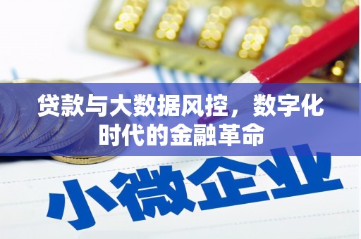 西海岸贷款与大数据风控，数字化时代的金融革命