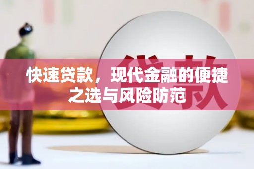 西海岸快速贷款，现代金融的便捷之选与风险防范