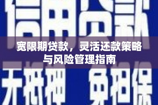 西海岸宽限期贷款，灵活还款策略与风险管理指南