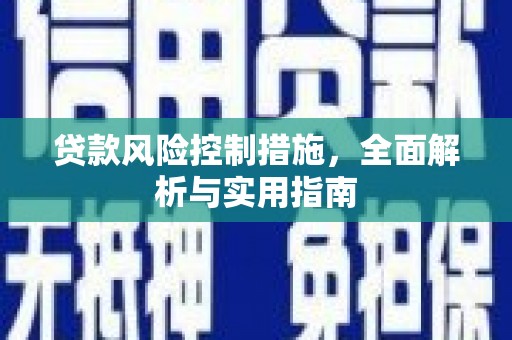 西海岸贷款风险控制措施，全面解析与实用指南