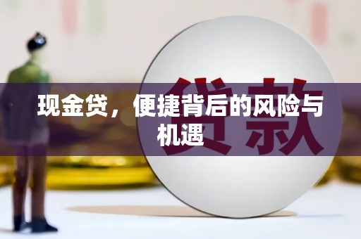 西海岸现金贷，便捷背后的风险与机遇