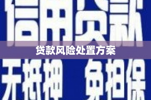 西海岸贷款风险处置方案