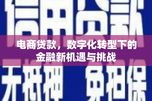 西海岸电商贷款，数字化转型下的金融新机遇与挑战