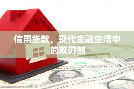 西海岸信用贷款，现代金融生活中的双刃剑