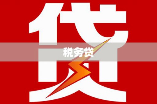 西海岸税务贷