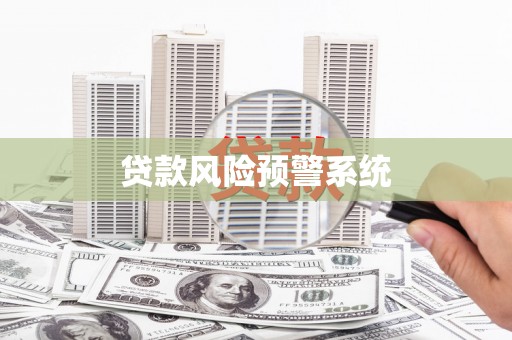 西海岸贷款风险预警系统