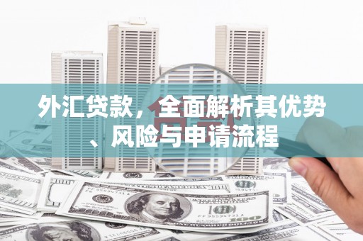 西海岸外汇贷款，全面解析其优势、风险与申请流程