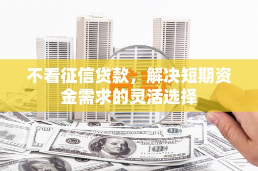 西海岸不看征信贷款，解决短期资金需求的灵活选择