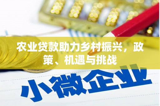 西海岸农业贷款助力乡村振兴，政策、机遇与挑战