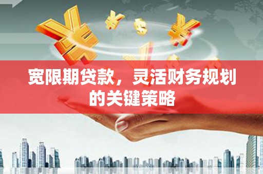 西海岸宽限期贷款，灵活财务规划的关键策略