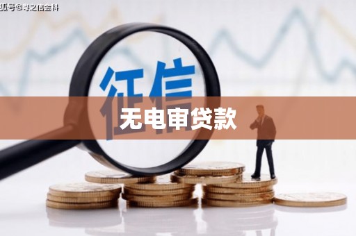 西海岸无电审贷款