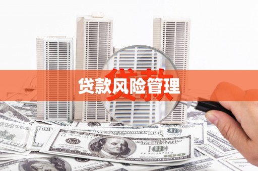 西海岸贷款风险管理