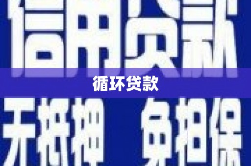 西海岸循环贷款