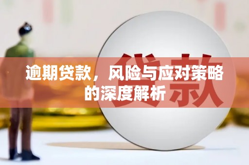 西海岸逾期贷款，风险与应对策略的深度解析