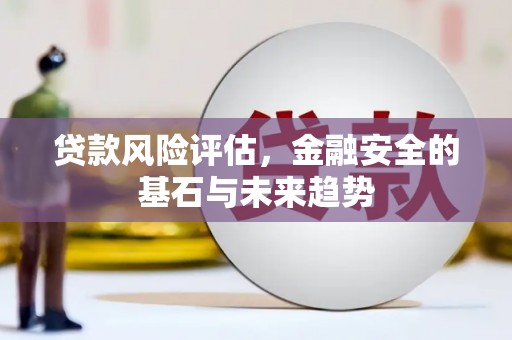西海岸贷款风险评估，金融安全的基石与未来趋势