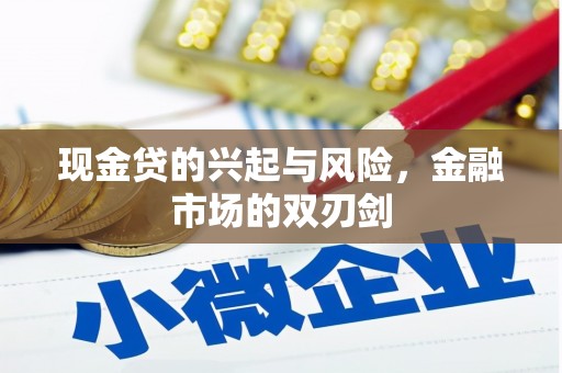 西海岸现金贷的兴起与风险，金融市场的双刃剑