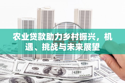 西海岸农业贷款助力乡村振兴，机遇、挑战与未来展望