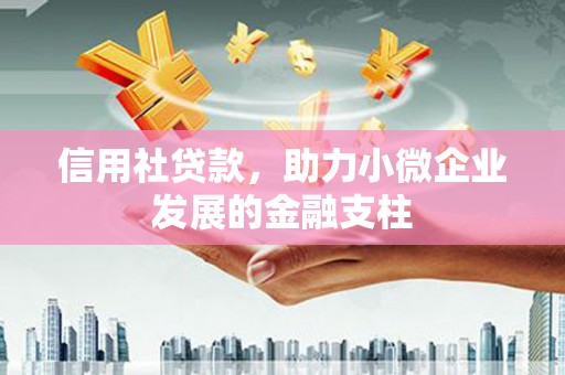 西海岸信用社贷款，助力小微企业发展的金融支柱