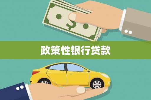 西海岸政策性银行贷款