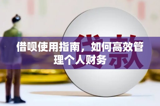 西海岸借呗使用指南，如何高效管理个人财务