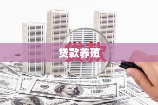 西海岸贷款养殖