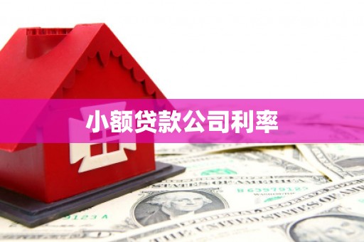 西海岸小额贷款公司利率