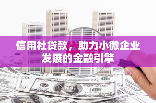 西海岸信用社贷款，助力小微企业发展的金融引擎