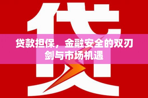 西海岸贷款担保，金融安全的双刃剑与市场机遇