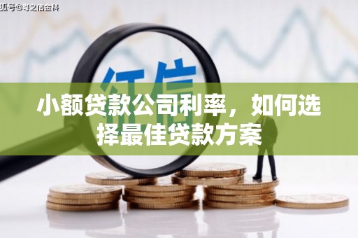 西海岸小额贷款公司利率，如何选择最佳贷款方案