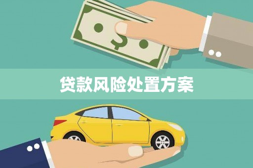 西海岸贷款风险处置方案