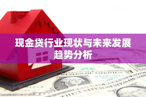 西海岸现金贷行业现状与未来发展趋势分析