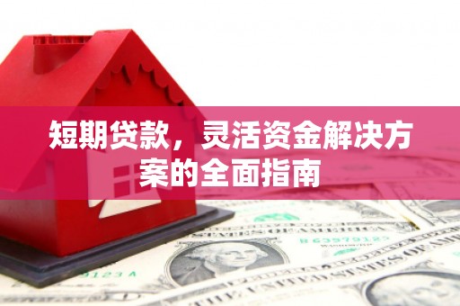 西海岸短期贷款，灵活资金解决方案的全面指南