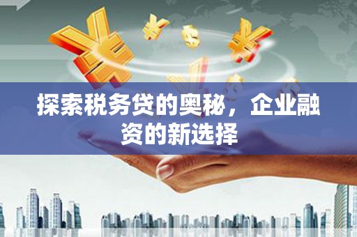 西海岸探索税务贷的奥秘，企业融资的新选择