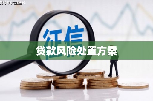 西海岸贷款风险处置方案