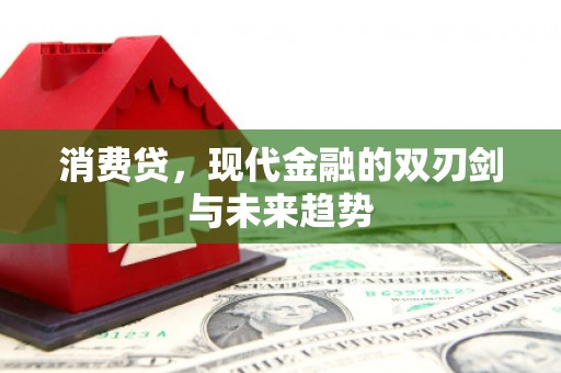 西海岸消费贷，现代金融的双刃剑与未来趋势
