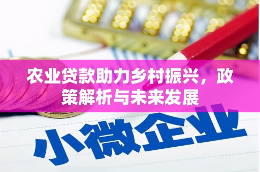 西海岸农业贷款助力乡村振兴，政策解析与未来发展