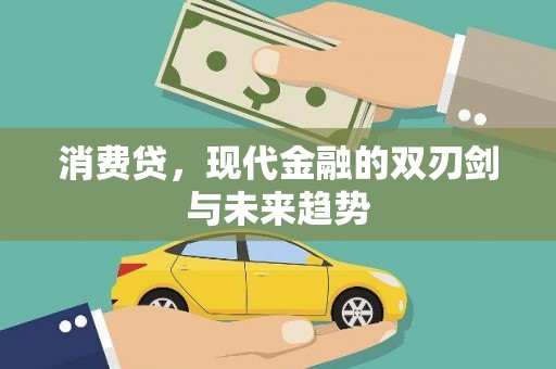 西海岸消费贷，现代金融的双刃剑与未来趋势