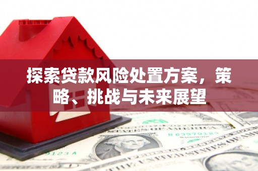 西海岸探索贷款风险处置方案，策略、挑战与未来展望