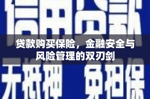 西海岸贷款购买保险，金融安全与风险管理的双刃剑