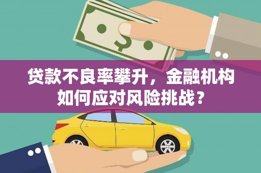 西海岸贷款不良率攀升，金融机构如何应对风险挑战？