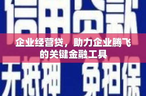 西海岸企业经营贷，助力企业腾飞的关键金融工具