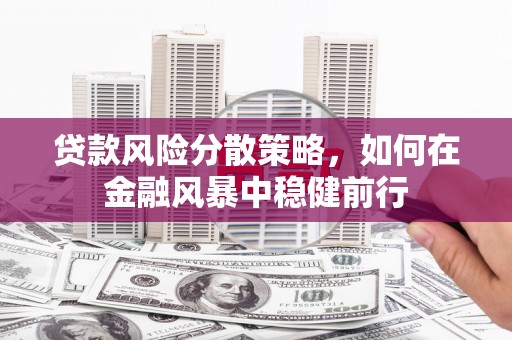 西海岸贷款风险分散策略，如何在金融风暴中稳健前行