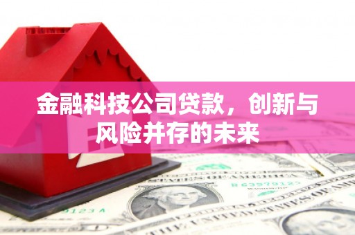 西海岸金融科技公司贷款，创新与风险并存的未来